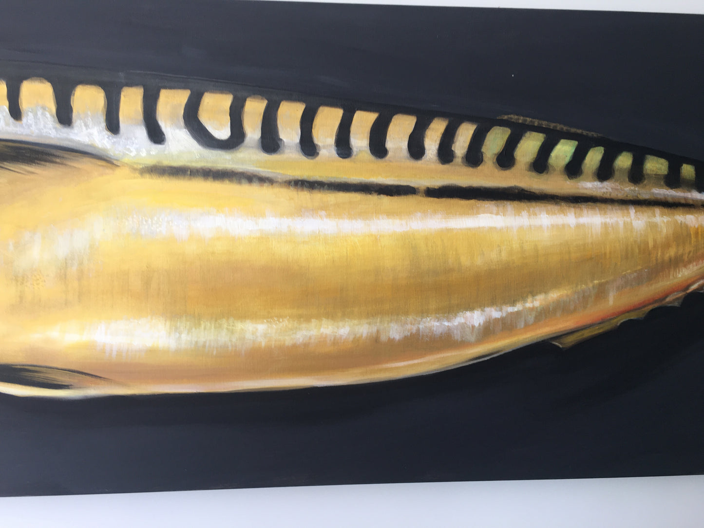 GOLDEN MACKEREL - 1