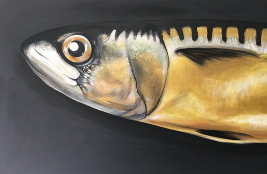 GOLDEN MACKEREL