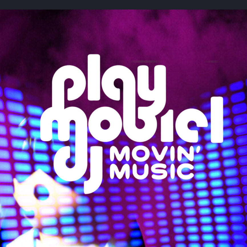 PLAYMOBIEL DJ