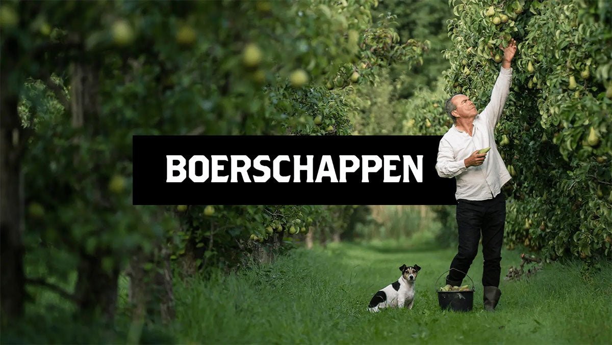 BOERSCHAPPEN - BLÄCKFISK