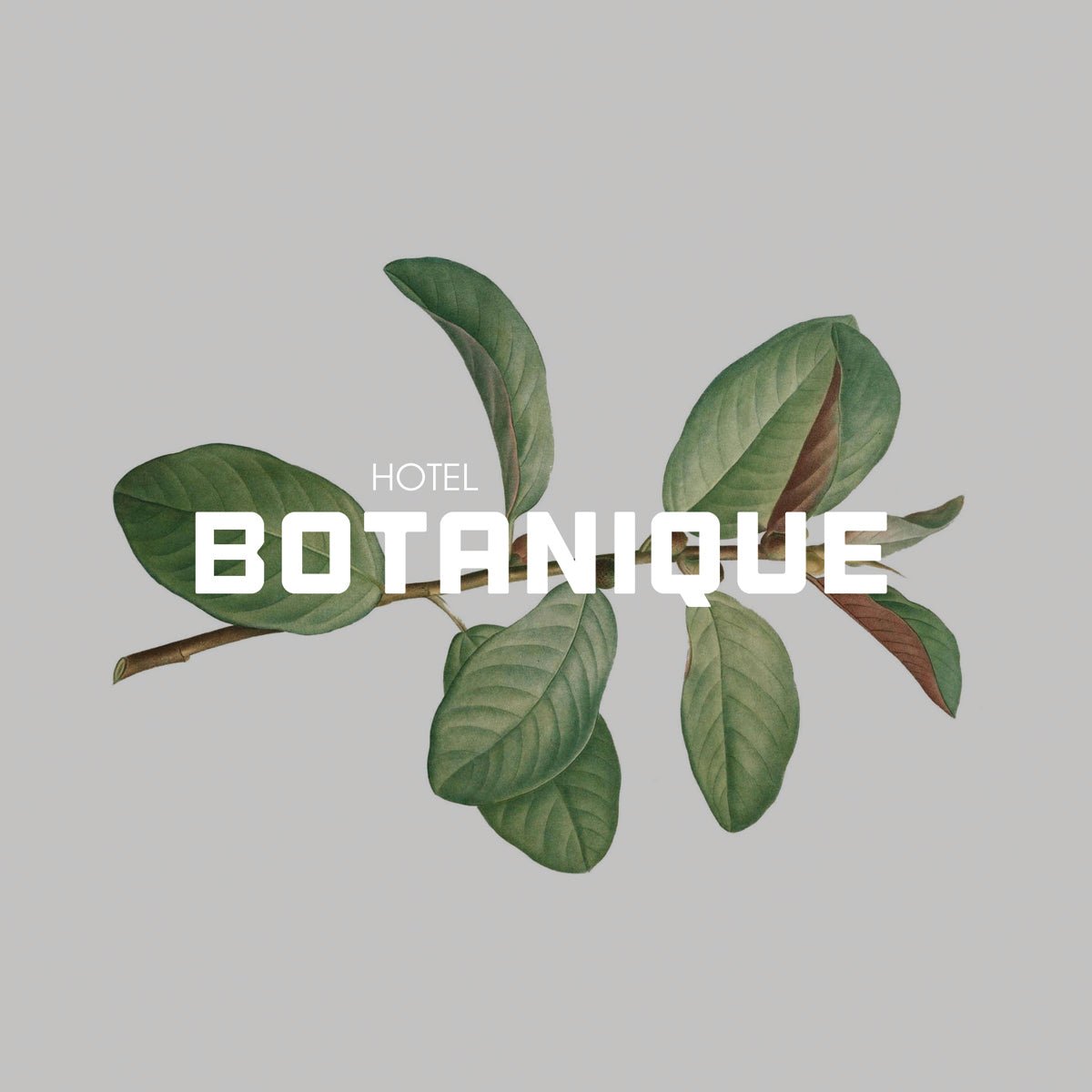 BOTANIQUE - BLÄCKFISK